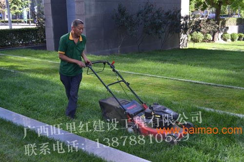 園林綠化工程包您滿意 綠化養(yǎng)護(hù)工程方案,園林綠化工程包您滿意 綠化養(yǎng)護(hù)工程方案生產(chǎn)廠家,園林綠化工程包您滿意 綠化養(yǎng)護(hù)工程方案價(jià)格
