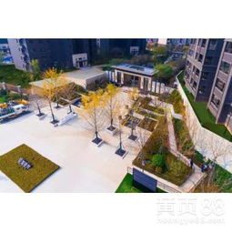 【佛山園林綠化施工、綠化工程承包、種花種苗、修枝移栽】-