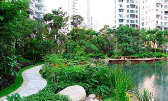 29深圳園林公司的園林綠化理念有哪些 ,29深圳園林公司的園林綠化理念有哪些 生產(chǎn)廠家,29深圳園林公司的園林綠化理念有哪些 價格