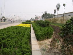 山東麗景園林公司 園林綠化工程景觀設(shè)計(jì)www.ljyl.cn規(guī)格型號(hào)及價(jià)格 園林施工 園林設(shè)計(jì) 苗木