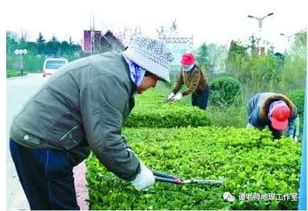 盤點近年全國卷不正經高考題