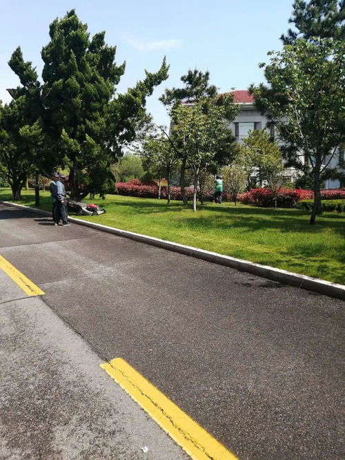 園林中心冒雨施工 加速推進城區綠化工程