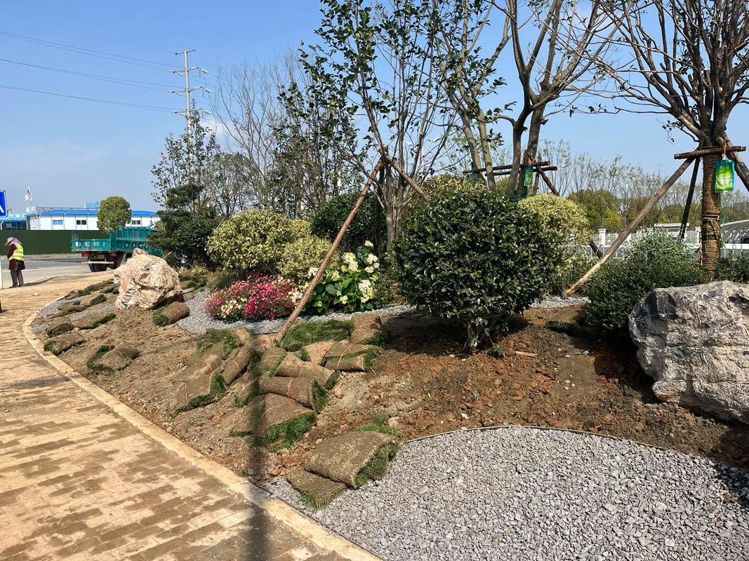 園林綠化工程 #施工現場實拍