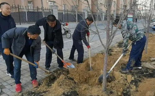 顏值 提升,開工